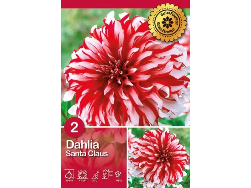 Dalia 