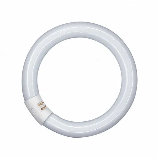 G10q 22W 865 Lumilux T9C anello fluorescente