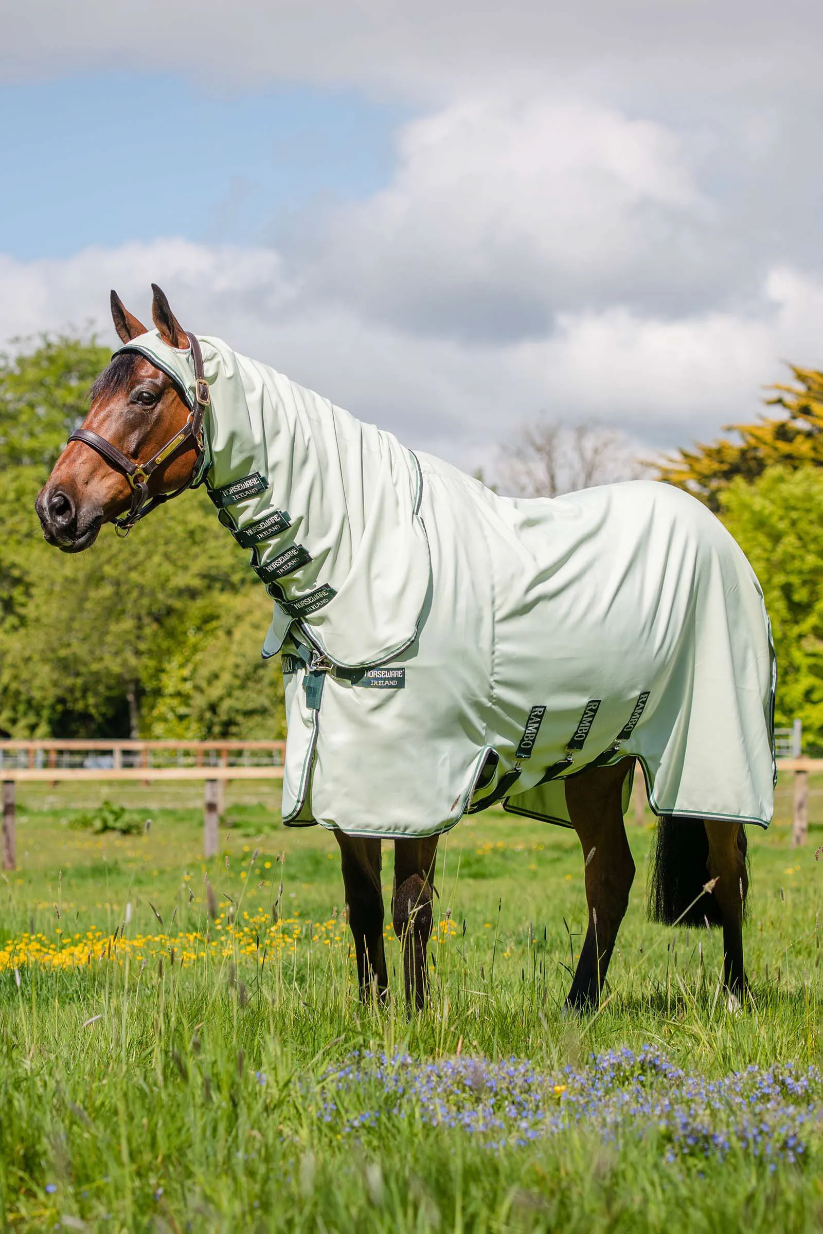 Rambo Horseware Felpa con cappuccio