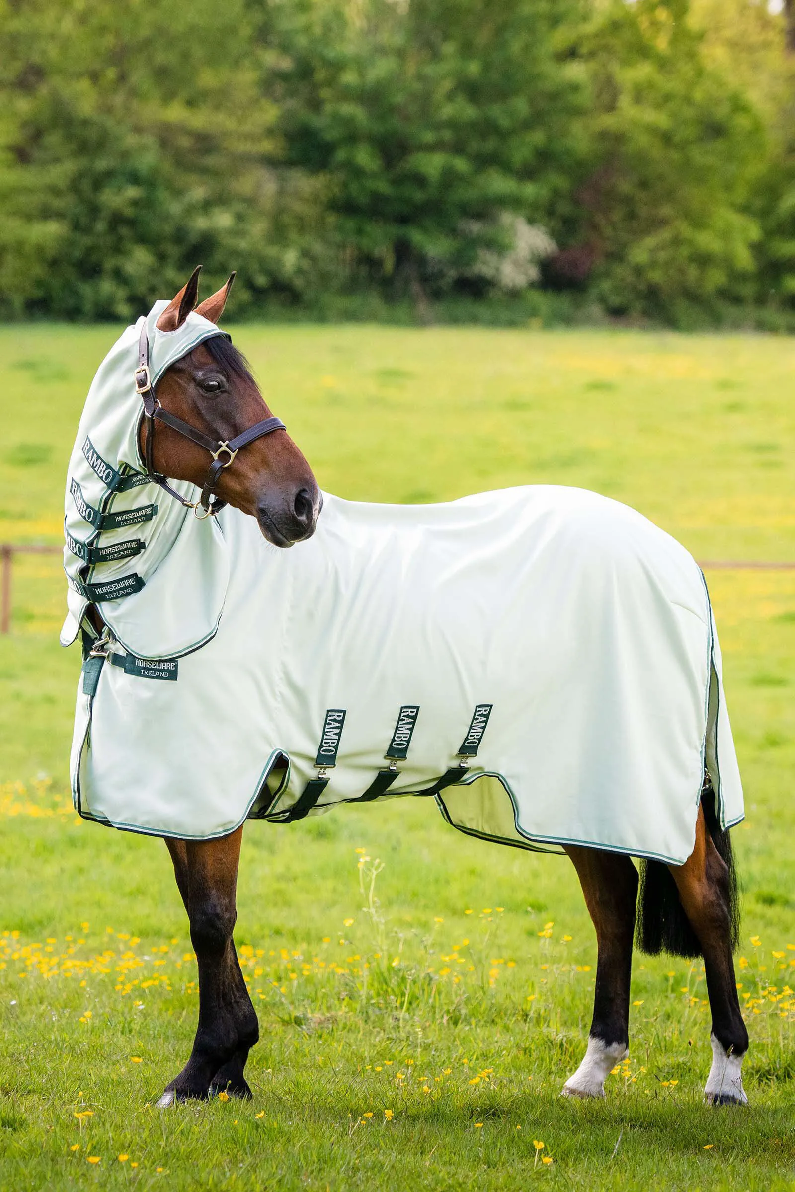 Rambo Horseware Felpa con cappuccio