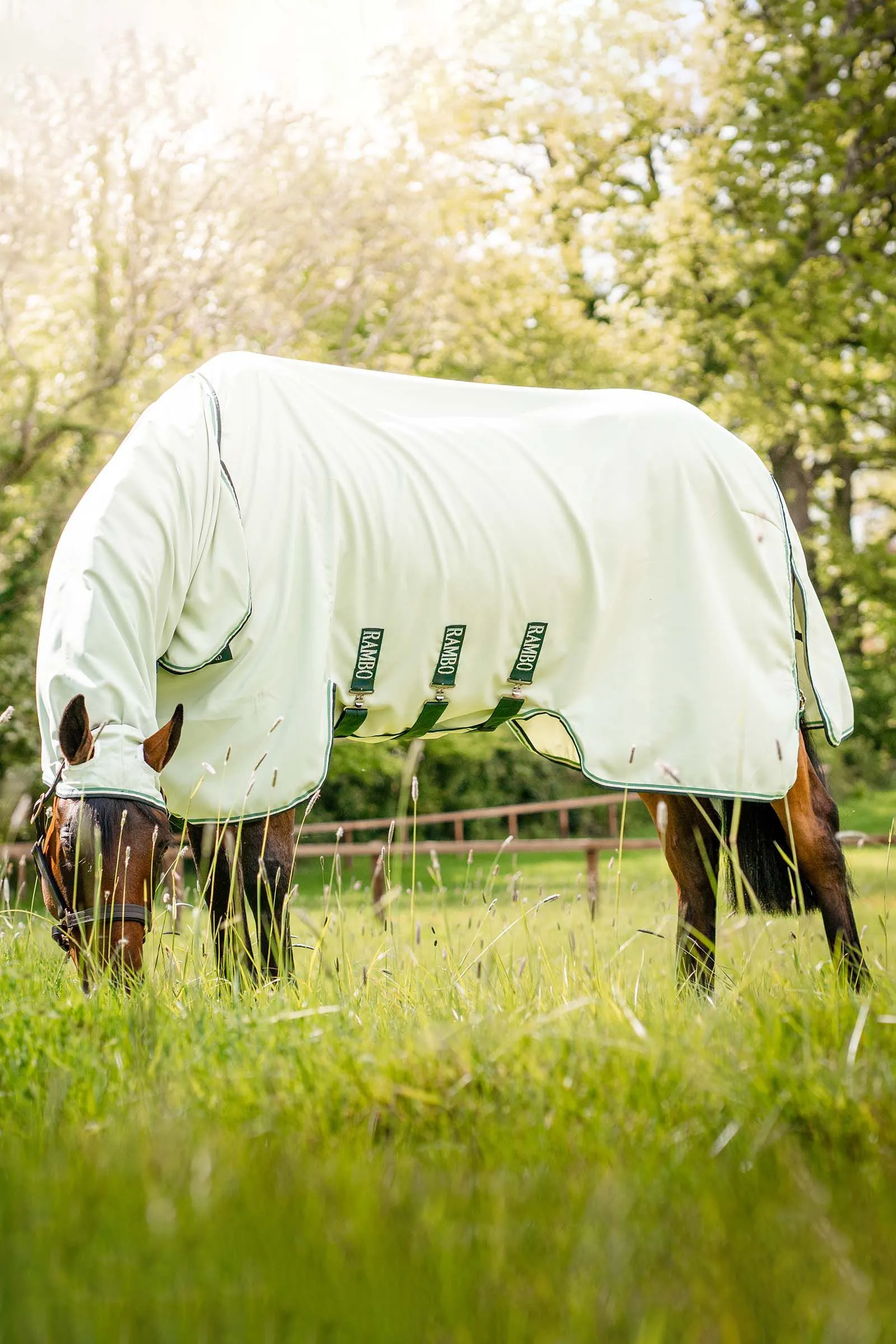 Rambo Horseware Felpa con cappuccio