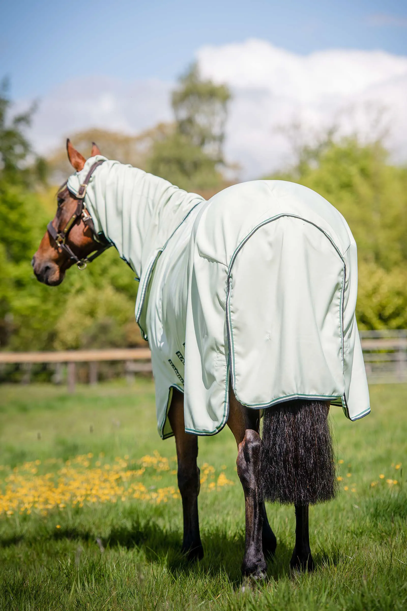 Rambo Horseware Felpa con cappuccio