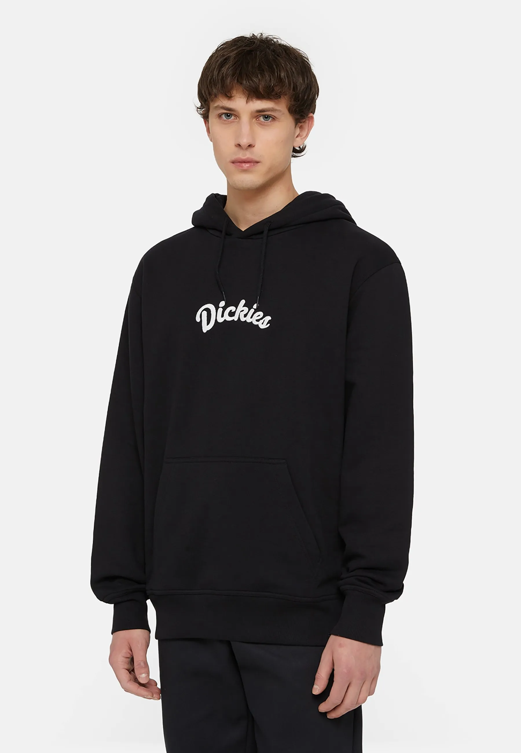 SHAWSVILLE HOODIE - Felpa con cappuccio