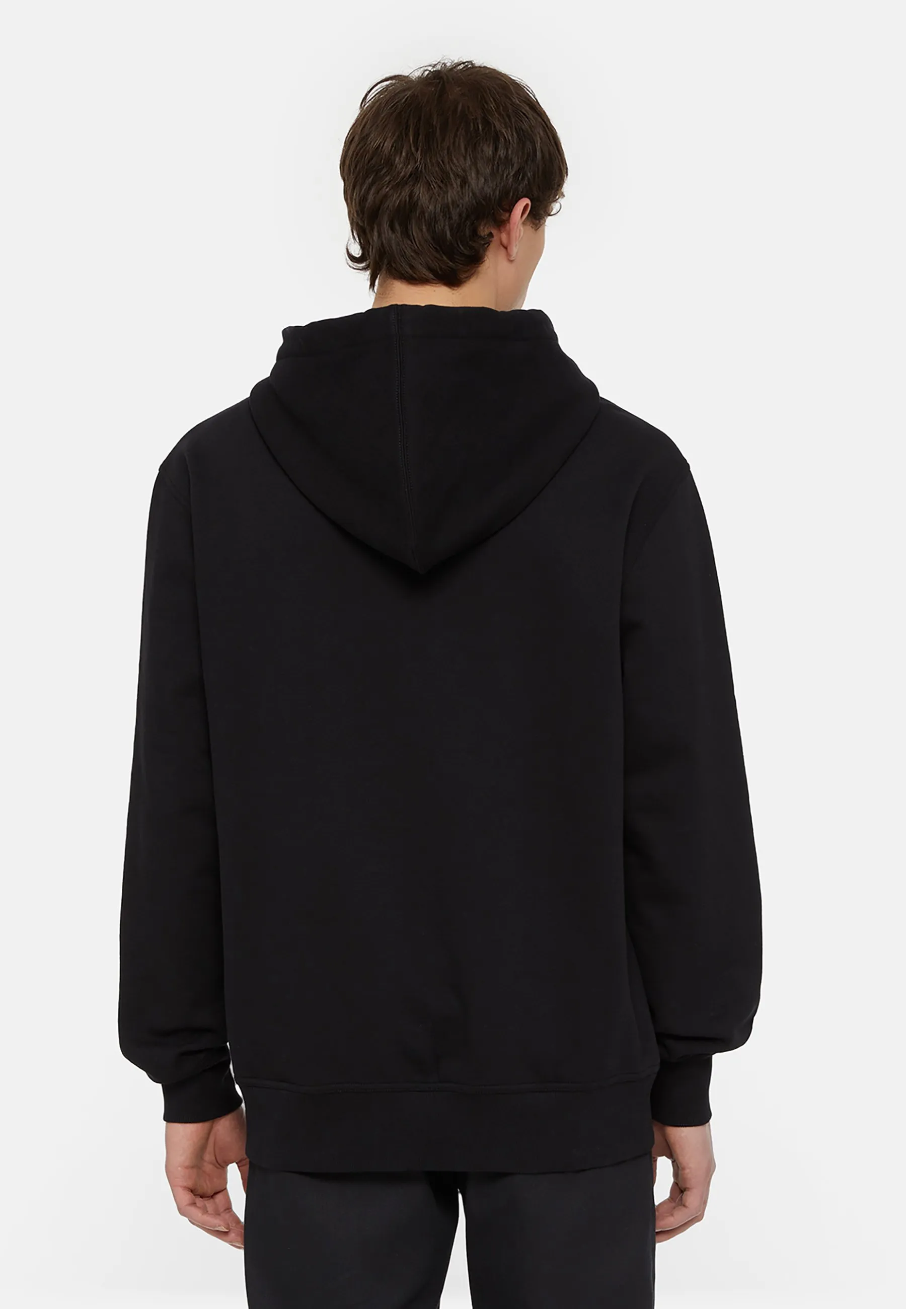 SHAWSVILLE HOODIE - Felpa con cappuccio