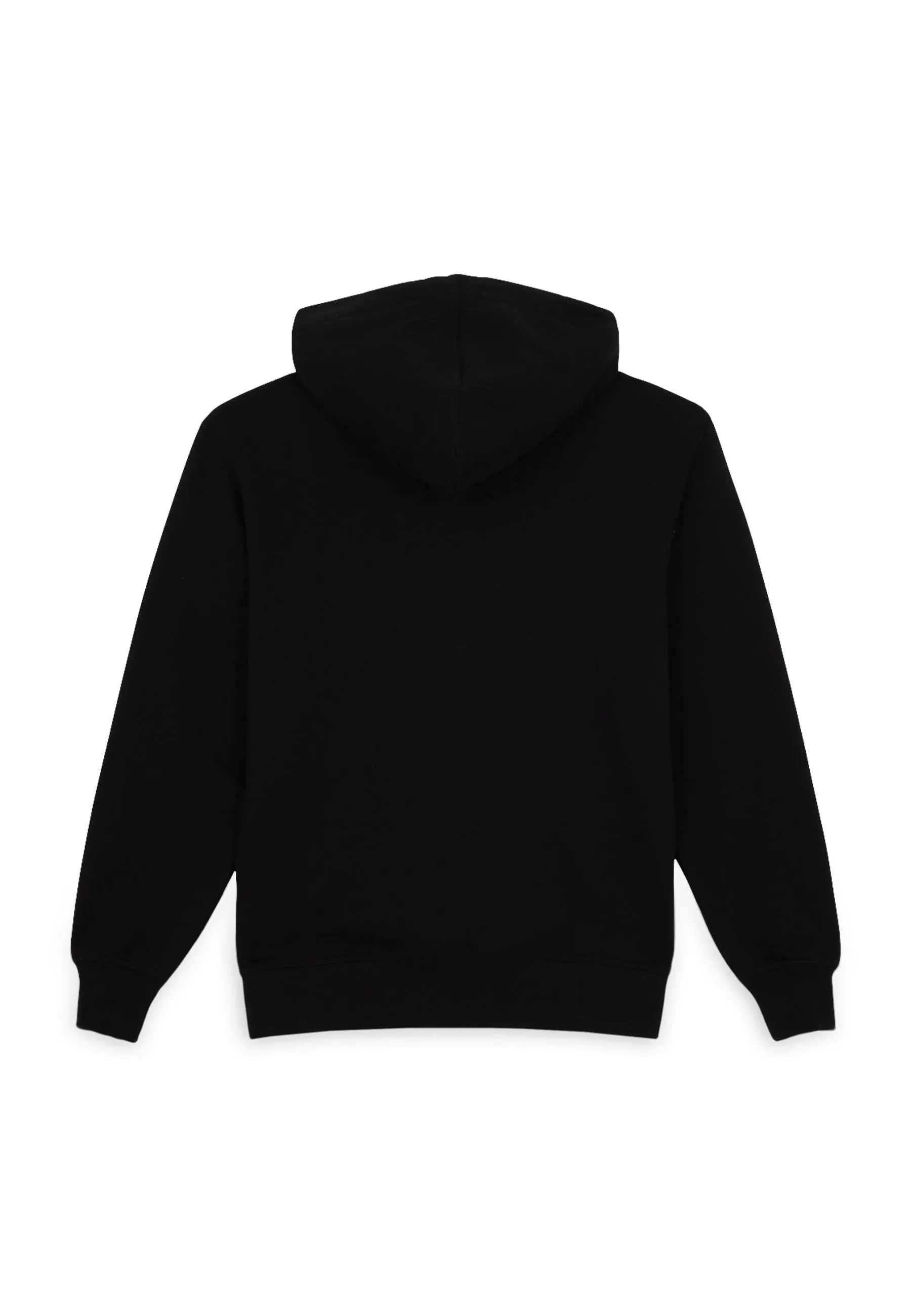 SHAWSVILLE HOODIE - Felpa con cappuccio